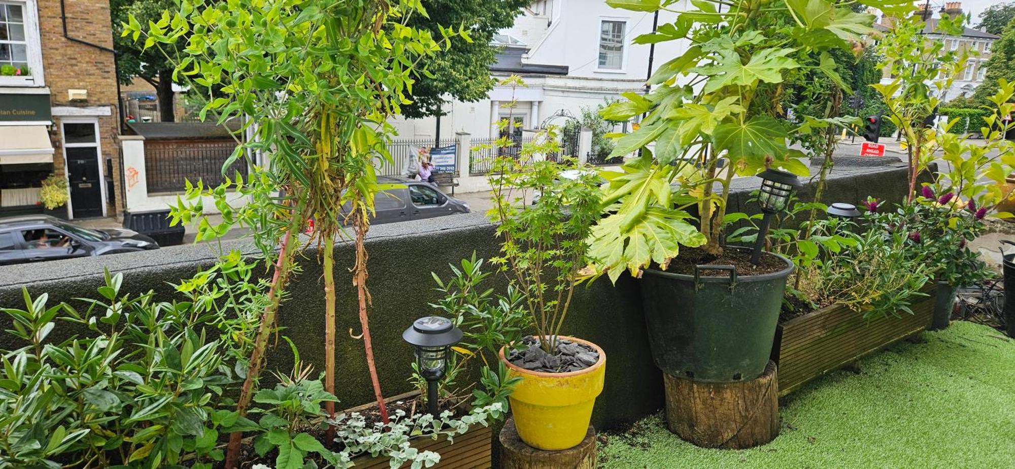 Apartament In Barnes Londra